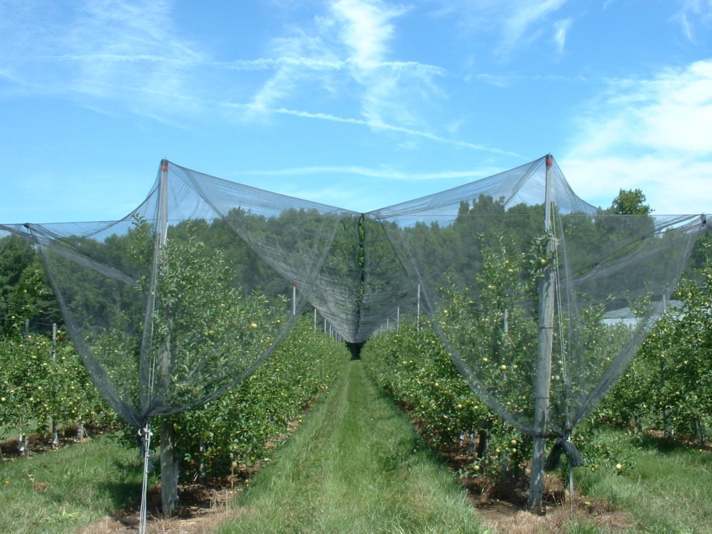 Hail Net Structure